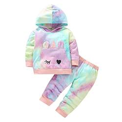 Baby Kleinkind Jungen Mädchen Tie Dye Langarm Hoodie Sweatshirt Tops Hosen 2 Stück Herbst Winter Kleidung Set Tie Dye 80 9-12 Monate von Alunsito