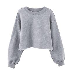 Damen Pullover Cropped Hoodies Lange Ärmel Sweatshirts Casual Crop Tops für Frühling Herbst Winter - - Small von Amazhiyu