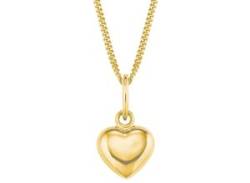 Kette mit Anhänger AMOR "Little Golden Heart, 2013969" Halsketten Gr. Gelbgold 375, Länge: 38 cm, goldfarben (goldfarben> <goldfarben) Mädchen Mädchenschmuck von Amor