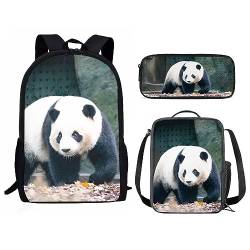 Amzbeauty Eulen-Rucksack und Lunch-Tasche Sets für Mädchen Jungen Kinder Schulanfang Kawaii Eule Rucksack Set Tierdruck, panda von Amzbeauty