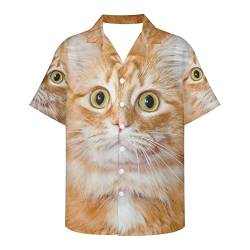Amzbeauty Lässiges Oberhemd für Herren, cooles Tiermotiv, Button-Down-Kleid, Hawaii-Hemd, kurzärmelig, Größe 2XS-5XL, Katze, niedlich, XL von Amzbeauty