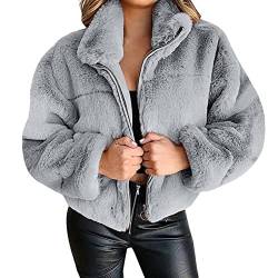 Angel ZYJ Fleecejacke Damen Fluffy Faux Plüschjacke Reißverschluss mit Taschen Kurze Jacke Frauen Mode Kurz Coat Winterjacke (as3, alpha, l, regular, regular, Grau, L) von Angel ZYJ