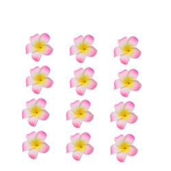 Angoily hawaiianische Partygeschenke hawaiianischer Blumenclip Blumen-Haarschleifen Haarnadel Haarspangen Plumeria-Haarschmuck Plumeria-Haarspange Sommer Material reisen Rosa von Angoily