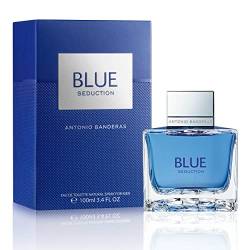 Banderas – Blue Seduction – Eau de Toilette Spray für Herren – 100 ml von Antonio Banderas