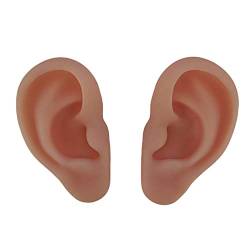 AoBloom Weiches Silikon-Ohrmodell - Künstliche Simulation des menschlichen Ohrs - 1 Paar künstliches Ohrmodell - für Piercing-Übungen, Schmuck-Display-Requisiten, Kopfhörer-Design, Referenzmodell (A) von AoBloom