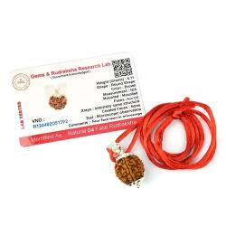 Aleafa Armlet Presents 4 Mukhi Rudraksha/Vier Gegenüber Rudraksha Anhänger Original Rudraksha Locket (Farbe Braun) #Aport-0104 von Aport Home