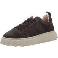 Apple of Eden Sneaker von Apple of Eden