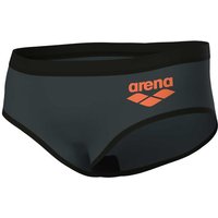 Badeslip Arena Big Log von Arena