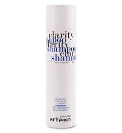 artègo Clarity Shampoo – 250 ml von Artego