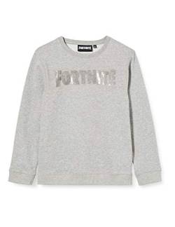 Artesania Cerda Jungen Sudadera Brush Fleece Fortnite Kapuzenpullover, Grau (Gris C13), 14 Jahre (Herstellergröße: 14A) von Artesania Cerda