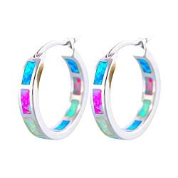 Ohrringe Damen Ohrringe Silber 925 Creolen Ohrringe Creolen Runde Ohrringe Hypoallergene Runde Ohrempfindliche Ohrringe (Pink, One Size) von Ashleyzj
