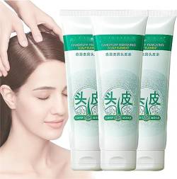 Maigoole Scalp Shampoo, Anti-Dandruff Artemisia Conditioner,Maigoole Dandruff Removing Scalp Element,Japanese Refreshing Control Oil Shampoo,Control Oil And Dandruff (3 Pcs) von Ashopfun