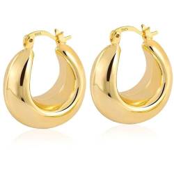 Aucuu Chunky Ohrringe, 18k Ohrringe Dupes für Damen, Hypoallergene Waterdrop Earrings, Creolen Ohrringe, Modeschmuck Ohrringe für Frauen und Mädchen Geschenke von Aucuu