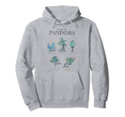 Avatar Floral Of Pandora Textbook Sketches Pullover Hoodie von Avatar