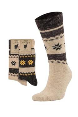 Aytuğ Çorap 2 Paar Alpaka Socken Damen und Herren Socken, Warm & Hypoallergen Frottee-Socken - Wintersocken (DE/NL/SE/PL, Numerisch, 43, 46, Regular, Regular, Beige und Braun (model 3097)) von Aytuğ Çorap