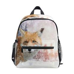 BALII Winter Snow Fox Kleinkind Rucksack Büchertasche Schulrucksack für Mädchen Jungen Kinder, multi, Einheitsgröße von BALII