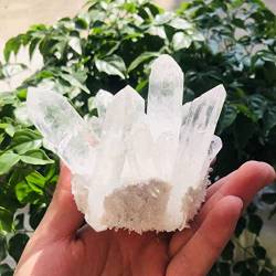 BAYDE Kristall 350g-900g Natürlicher klarer Quarzstein Weiße Kristallgruppe 1Stk YICHENGYIN (Color : 1pc 860g-900g) von BAYDE