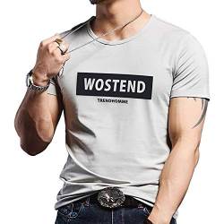 BEEMEN Herren T-Shirt Kurzarm Classic Fashion Shirt Soft Fit Calypse (Beige, XXL (Europe Size L)) von BEEMEN