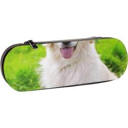 BEEOFICEPENG Federmäppchen, Golden Retriever-Hund mit Sonnenbrille, Leder-Federmäppchen, Stifttasche, Büro, Schule, Schmuckkästchen, Make-up-Pinsel-Box von BEEOFICEPENG