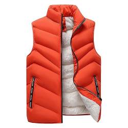 BIBOKAOKE Gilet Herren Outdoor Winterweste Slim Fit Stehkragen Steppweste Casual ärmellose Herrenweste Wärme Freizeit Übergangsweste Vest Warm Dick Thermoweste Full-Zip Sportweste Waistcoat von BIBOKAOKE