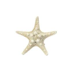 Und Clips Beach Star Resin Starfishs Hair Pcs Hair Clip Sea Accessoires for Frauen Mädchen Pins Hair 3 JSs258 Haarschmuck (Color : White, Size : Taille unique) von BINGDONGA