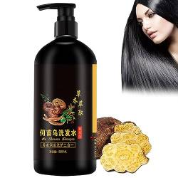 Polygonum Multiflorum Shampoo Für Schwarzes Haar, Polygonum Multiflorum Shampoo, Kräuteressenz-Shampoo, Fördert Das Haarwachstum Und Beugt Haarausfall Vor (Shampoo 500ml) von BIUBIULOVE