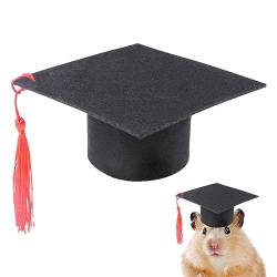 Haustier-Dr.-Mütze,Junggesellenkostüm-Kappen für Hunde und Hamster - Weiche Hamster-Abschlusshüte mit roter Quaste, Urlaubsparty-Zubehör, Hunde, Katzen, Hamster Biudui von BIUDUI