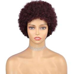 Perücke Kurze Afro-Perücke, verworren, lockig, Pixie-Schnitt, brasilianisches Echthaar, kurze Jerry-Lockenperücke für schwarze Frauen, 180% Dichte von BIVVI