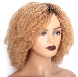 Perücke Lockige Echthaar-Perücke, peruanische Haarperücken für Frauen, kurze verworrene lockige Perücke, 180% maschinell hergestellte farbige Afro-verworrene Perücken von BIVVI