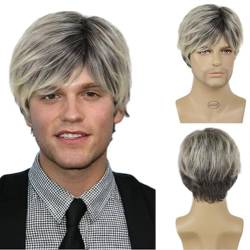 Perücke Synthetische Perücken für Männer, kurzes Haar, platinblonde Perücke mit Pony, natürliche Frisur, Pixie-Schnitt-Perücken, männliche Cosplay-Perücke für Jungen von BIVVI