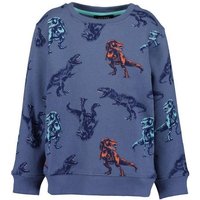 Blue Seven Sweatshirt Blue Seven® Jungen Sweatshirt Dino T-Rex von BLUE SEVEN