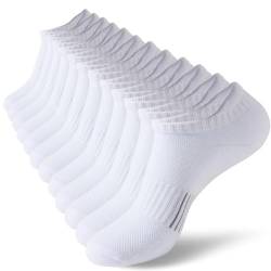 Sneaker Socken Damen Füßlinge Baumwolle Sportsocken Atmungsaktives Kurz Anti-Blasen Socken Damen Gepolsterte Laufsocken 6 Paar 35-38 39-42 (DE/NL/SE/PL, Numerisch, 35, 38, Regular, Regular, weiß) von BUDERMMY