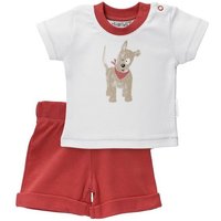 Baby Sweets Shirt & Shorts Set Hund (1-tlg., 2 Teile) von Baby Sweets