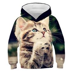 Kinder Nette Katze 3D Gedruckt Hoodie Jungen Mädchen Cooles Sweatshirt Hoodie Kindermode Pullover Kleidung Tops 9W62 11T von Bangqi