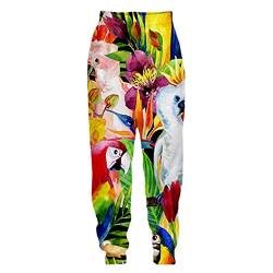 Mode 3D Farbe Papagei Jogger Hosen Herren Damen Frühling Lose Jogginghose Lässige Hip Hop Hose Jogginghose Picture5 L von Baobli