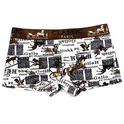 BaronHong 3er Pack Boxer Briefs für Tomboy Cotton Fashion Pattern Boyshort Trans Lesben (Kutsche, XL) von BaronHong