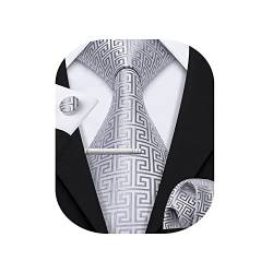 Barry.Wang Herren Seide Business Krawatte mit Taschentuch Manschettenknöpfe Silber Krawatte Anzug Etikette Hochzeit von Barry.Wang