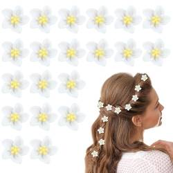 Bekecidi 20 Stück Skurrile Kleine Blumen-Haarspangen, Kleine, Charmante Mode-Haarspangen, Lebendige Weiße Haarspangen, Party-Haar-Accessoires, Frauen und Mädchen, Haarverschönerung von Bekecidi