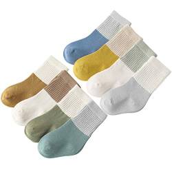 Belsmi Baby Mädchen Jungen Socken Dicke Winter Warm Lang kniehohe Strumpf Röhrensocken Manschette Baumwolle 8er Pack (Stil A, 1-3 Jahre (M)) von Belsmi