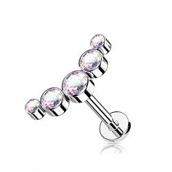 BlackAmazement 316L Edelstahl Piercing Helix Cartilage Ohrstecker Barbell 5-Runde CZ Zirkonia Curve Gebogen 6mm 8mm Silber Klar Pink Rose Gold Schwarz Damen (Farbe Aurora Borealis - Stablänge 8mm) von BlackAmazement