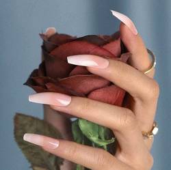 Bohend Französisch Lange Falscher Nagel Glänzend Sarg Falsche Fingernägel Rosa Ballerina Nägel 24St Acryl Kunst Drücken Sie auf Nagelspitzen zum Frauen und Mädchen von Bohend
