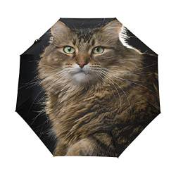 Schwarzer kompakter Reise-Regenschirm Maine Coon Cat Automatisches Öffnen Schließen Regenschirm Winddicht Anti-UV von Bolaz