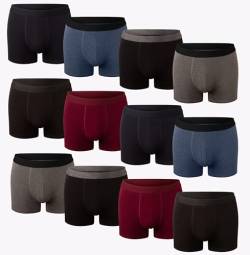 Bonjour Taillierte Hipster-Unterhosen für Herren, 12er-Pack (dunkel Sortiert, XL) von Bonjour