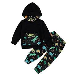 Borlai 2 Stück Kinder Baby Jungen Dinosaurier Kleidung Set Kapuzen Sweatshirt Top + Hose Outfits Set von Borlai
