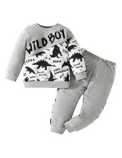 Borlai Baby Jungen Kleidung Outfit 1-6 Jahre Kinder Jungen Langarm Dinosaurier T-Shirt Top Hosen Babykleidung Set von Borlai