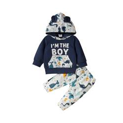 Borlai Baby Jungen Kleidung Outfit Langarm Niedlich Ohr Hoodie Sweatshirt Top + Dinosaurier Prints Hosen Neugeborenen Outfits Set von Borlai