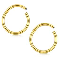 Briana Williams 2stk Gold Segmentring Clicker Septum Nasenring 16G Chirurgenstahl 8mm Hoop Tragus Helix Piercing Ring von Briana Williams