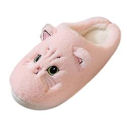 Briskorry Hausschuhe Damen Niedliche Bequeme Hausschuhe Tier Katze Plüsch Warme Winter Pantoffeln Flauschige Cute Slippers Winter Filzhausschuhe Gäste Cartoon Schlappen (Pink-A, 43) von Briskorry