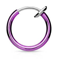 Bungsa lilaner Fake Piercing-Ring aus Edelstahl Chirurgenstahl mit Spring Verschluss (für Fake Septum Nasenpiercing Zunge Lippe Ohrstecker No Non Piercing Piercingring Nase) - Lila Purple von Bungsa