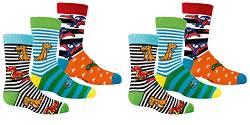 C&C KIDS Kinder Socken,6 Pack,31-34,Dino von C&C KIDS